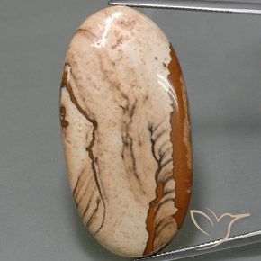 44.16ct Naturel Multicolore Jaspe, ovale, Opaque