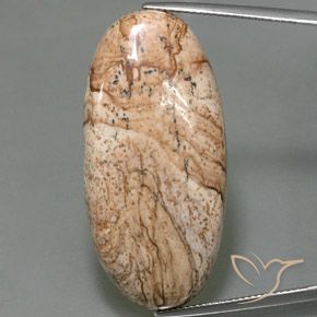 44.33ct Naturel Multicolore Jaspe, ovale, Opaque