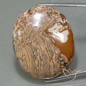 67.93ct Naturel Multicolore Jaspe, ovale, Opaque