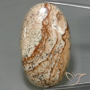 56.03ct Naturel Multicolore Jaspe, ovale, Opaque