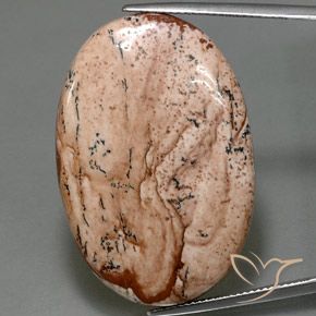 40.50ct Naturel Multicolore Jaspe, ovale, Opaque