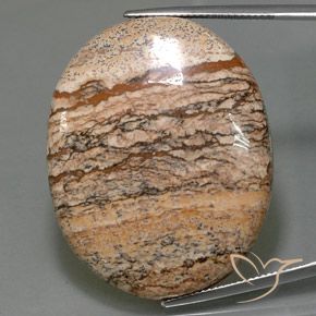 65.05ct Naturel Multicolore Jaspe, ovale, Opaque