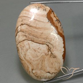 61.25ct Naturel Multicolore Jaspe, ovale, Opaque