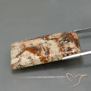 Jaspe Multicolore naturelle Baquette, 26.28 ct, Opaque