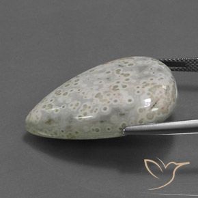 Jaspe Multicolore naturelle En forme de poire, 34.98 ct, Opaque