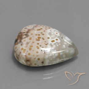 Jaspe Multicolore naturelle En forme de poire, 33.07 ct, Opaque