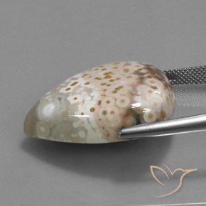 Jaspe Multicolore naturelle En forme de poire, 33.07 ct, Opaque