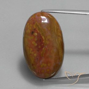 27.84ct Naturel Multicolore Jaspe, ovale, Opaque
