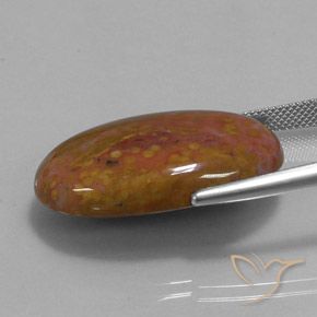 Jaspe Multicolore naturelle ovale, 27.84 ct, Opaque