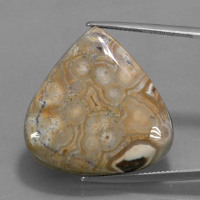 Jaspe Multicolore naturelle En forme de poire, 38.48 ct, Opaque