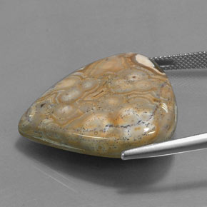 Jaspe Multicolore naturelle En forme de poire, 38.48 ct, Opaque