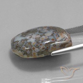 Jaspe Multicolore naturelle Fantaisie, 45.73 ct, Opaque