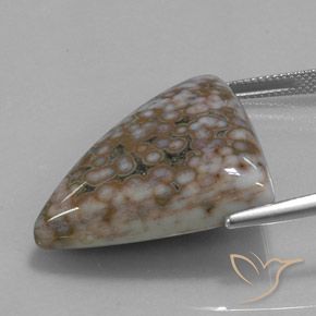 Jaspe Multicolore naturelle Trillion, 40.07 ct, Opaque