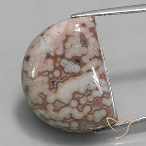 35.32ct Naturel Multicolore Jaspe, Fantaisie, Opaque