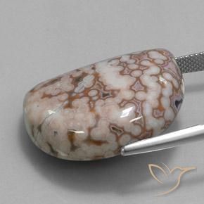 Jaspe Multicolore naturelle Fantaisie, 35.32 ct, Opaque