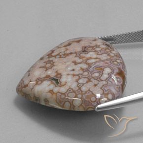 Jaspe Multicolore naturelle En forme de poire, 52.10 ct, Opaque