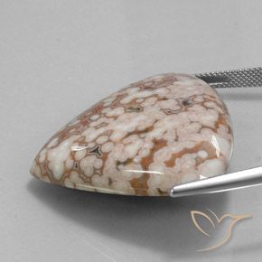 Jaspe Multicolore naturelle En forme de poire, 56.08 ct, Opaque