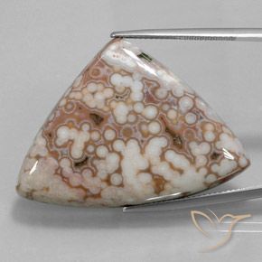 Jaspe Multicolore naturelle Trillion, 48.51 ct, Opaque