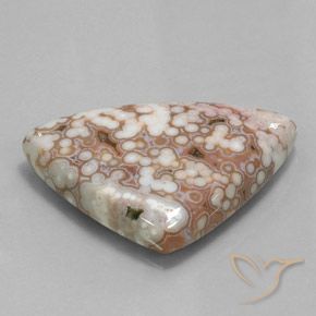 Jaspe Multicolore naturelle Trillion, 48.51 ct, Opaque