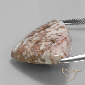 Jaspe Multicolore naturelle Trillion, 48.51 ct, Opaque