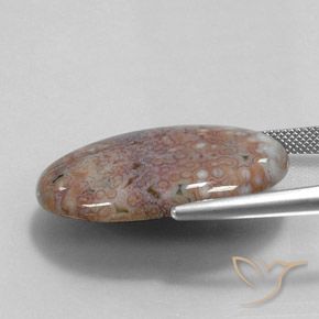 Jaspe Multicolore naturelle ovale, 27.34 ct, Opaque