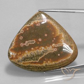 41.62ct Naturel Multicolore Jaspe, En forme de poire, Opaque