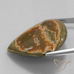 Jaspe Multicolore naturelle En forme de poire, 41.62 ct, Opaque