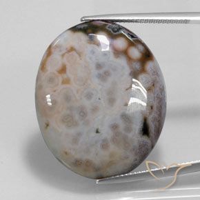 36.14ct Naturel Multicolore Jaspe, ovale, Opaque