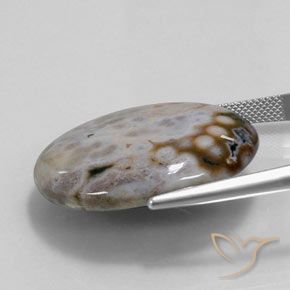 Jaspe Multicolore naturelle ovale, 36.14 ct, Opaque