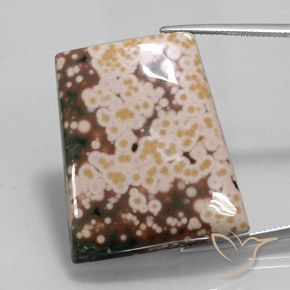65.30ct Naturel Multicolore Jaspe, Fantaisie, Opaque
