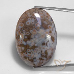 Jaspe Multicolore naturelle ovale, 43.68 ct, Opaque