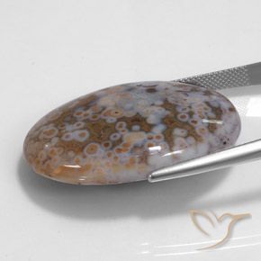 Jaspe Multicolore naturelle ovale, 43.68 ct, Opaque