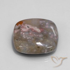 Jaspe Multicolore naturelle Coussin, 48.00 ct, Opaque