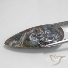 Jaspe Multicolore naturelle En forme de poire, 44.98 ct, Opaque