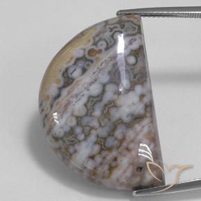 30.93ct Naturel Multicolore Jaspe, Fantaisie, Opaque
