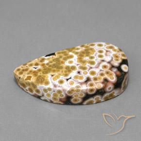 Jaspe Multicolore naturelle Fantaisie, 11.97 ct, Opaque