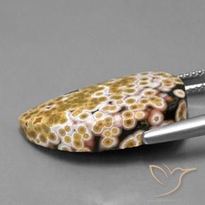 Jaspe Multicolore naturelle Fantaisie, 11.97 ct, Opaque