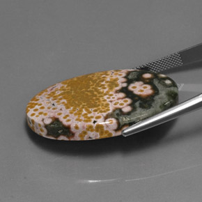 Jaspe Multicolore naturelle Coupe ovale, 38.01 ct, Opaque