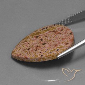 Jaspe Multicolore naturelle En forme de poire, 44.44 ct, Opaque