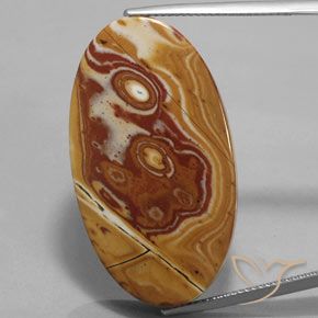 34.73ct Naturel Multicolore Jaspe, ovale, Opaque