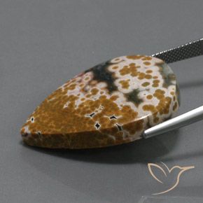 Jaspe Multicolore naturelle En forme de poire, 34.46 ct, Opaque