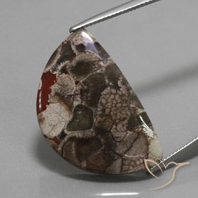 20.05ct Naturel Multicolore Jaspe, Fantaisie, Opaque