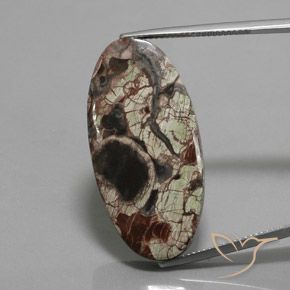 23.72ct Naturel Multicolore Jaspe, ovale, Opaque