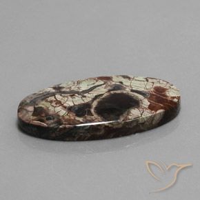 Jaspe Multicolore naturelle ovale, 23.72 ct, Opaque