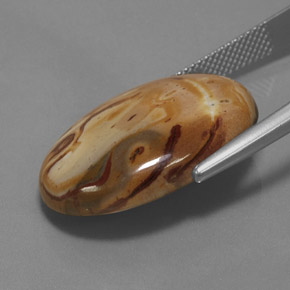 Jaspe Multicolore naturelle Coupe ovale, 19.06 ct, Opaque