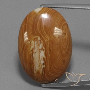 19.27ct Naturel Multicolore Jaspe, ovale, Opaque