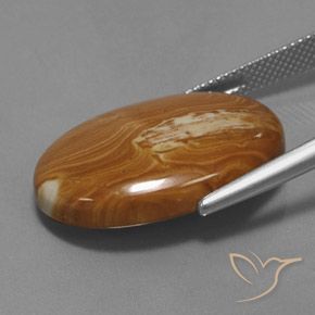 Jaspe Multicolore naturelle ovale, 19.27 ct, Opaque