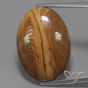 19.54ct Naturel Multicolore Jaspe, ovale, Opaque