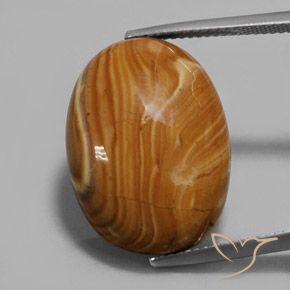 16.90ct Naturel Multicolore Jaspe, ovale, Opaque
