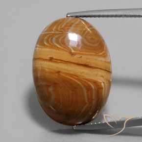 17.22ct Naturel Multicolore Jaspe, ovale, Opaque